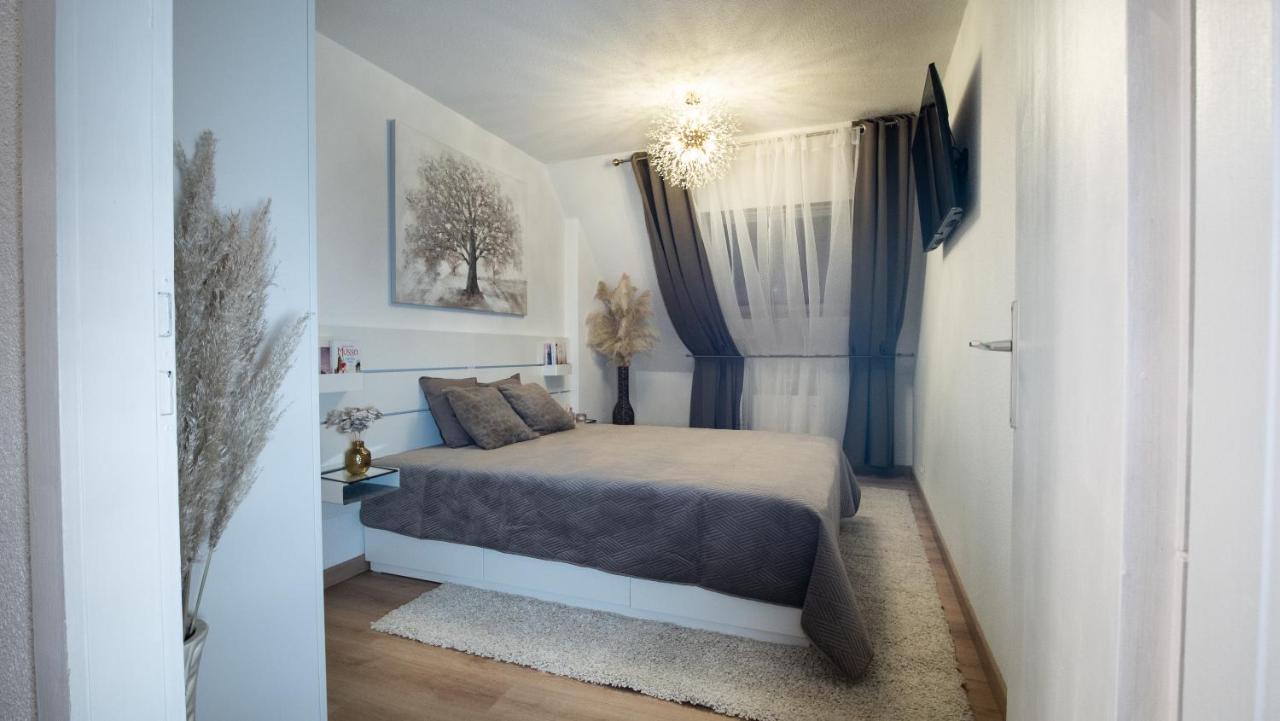 Superbe Appartement Au Coeur Du Колмар Екстериор снимка