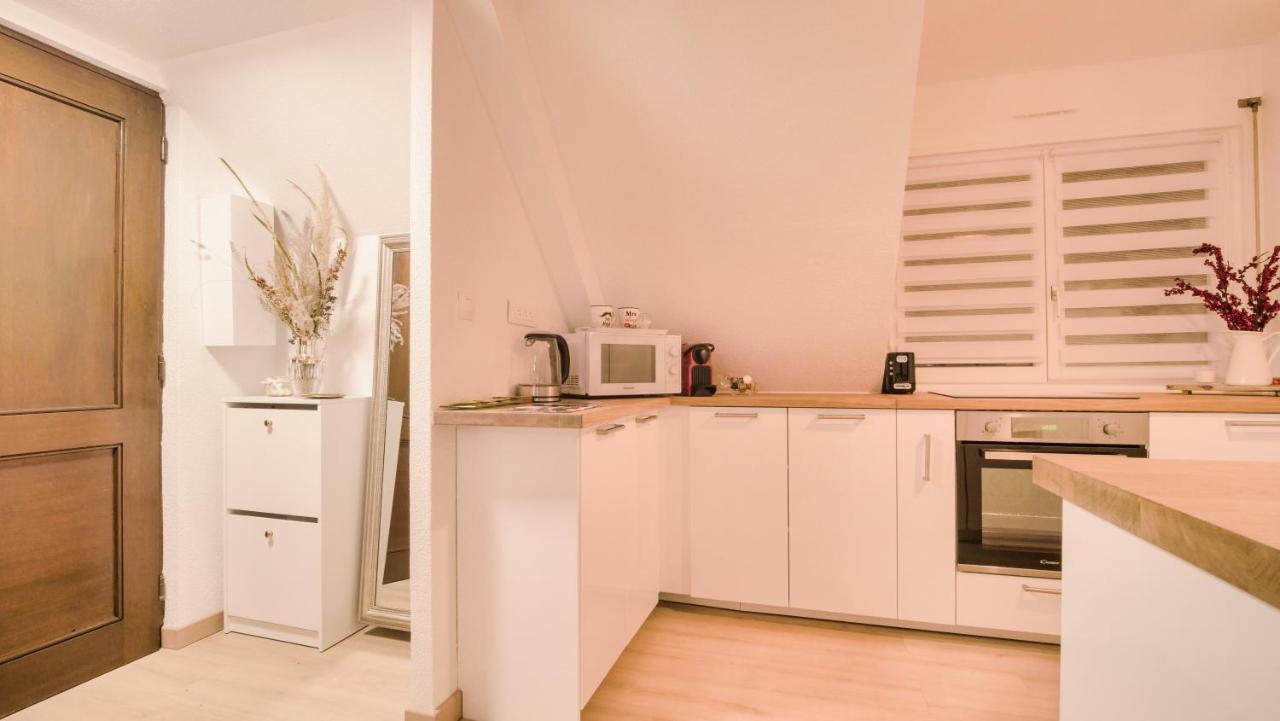 Superbe Appartement Au Coeur Du Колмар Екстериор снимка